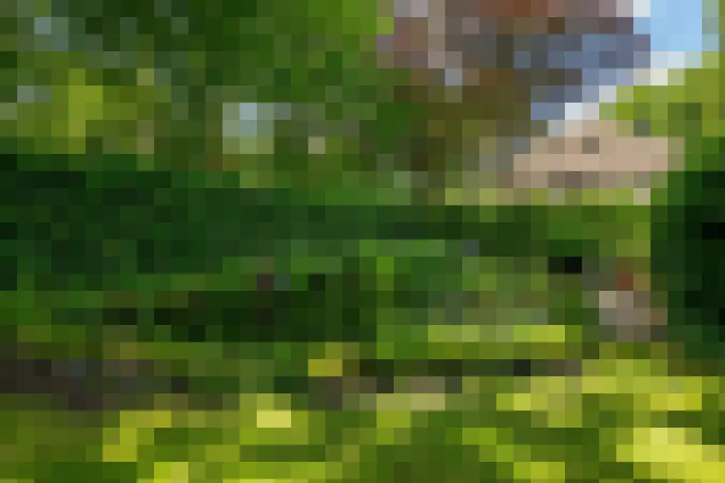 Eikenlaan 6 Wassenaar thumbnail 64