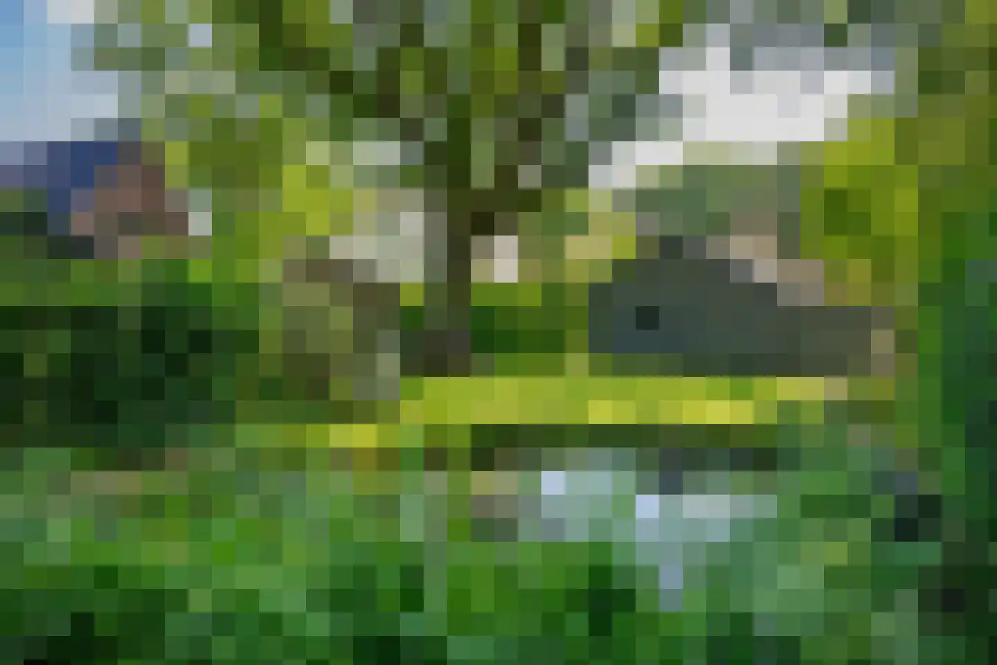 Eikenlaan 6 Wassenaar thumbnail 65