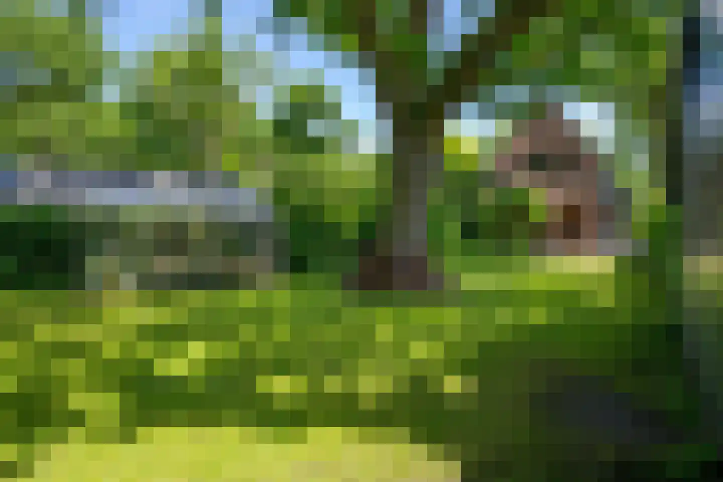 Eikenlaan 6 Wassenaar thumbnail 66