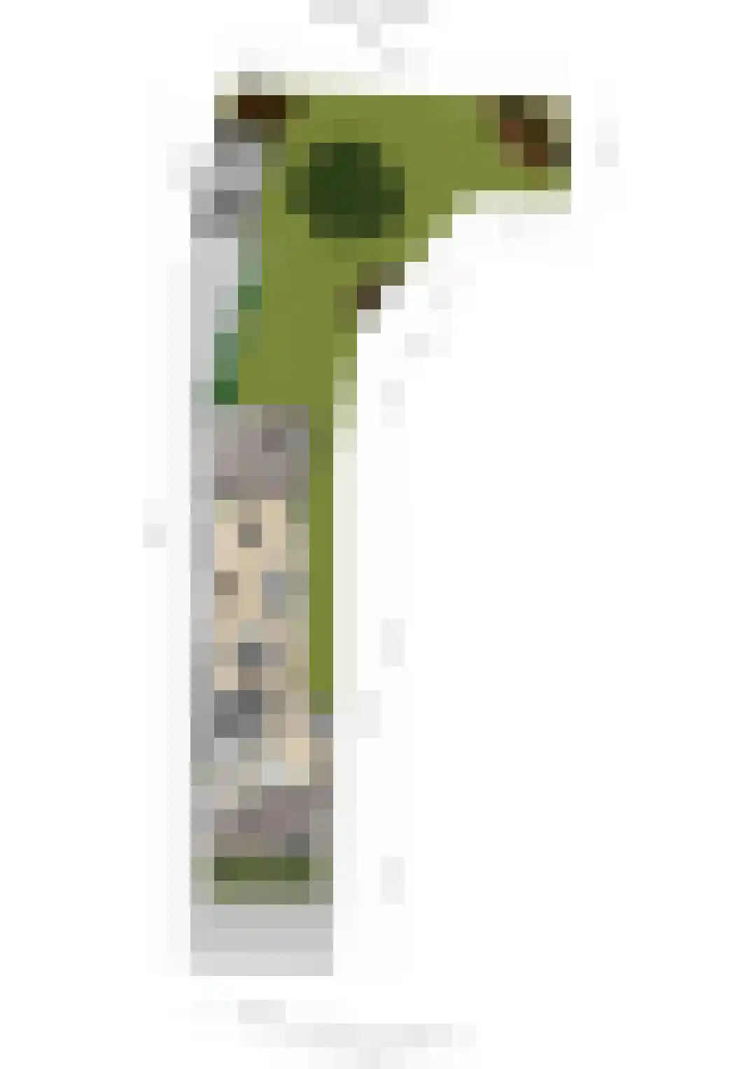 Eikenlaan 6 Wassenaar thumbnail 74