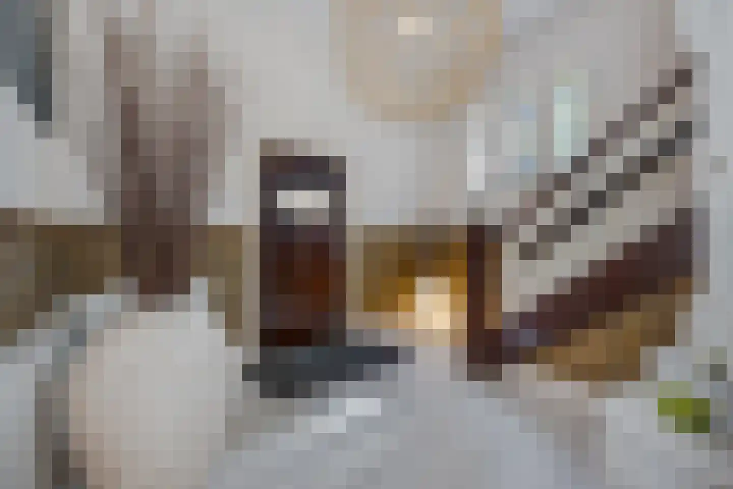 Eikenlaan 6 Wassenaar thumbnail 9