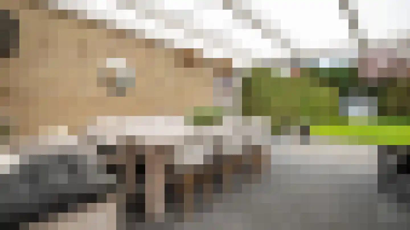 Eikenlaan 6 Wierden thumbnail 30