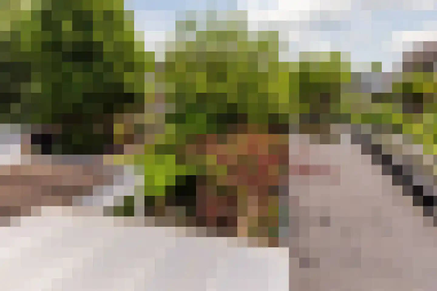 Eikenlaan 6 Zwanenburg thumbnail 31