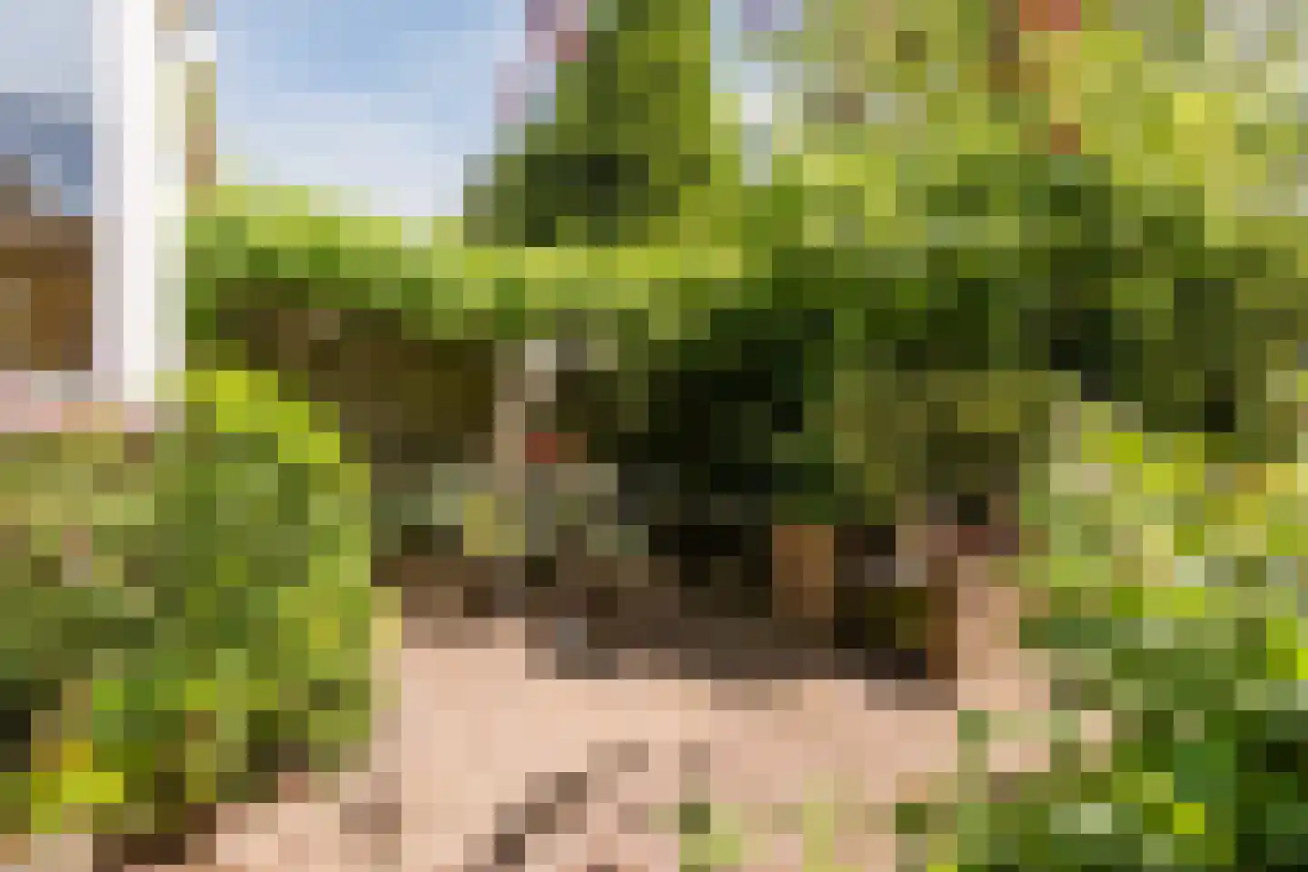 Eikenlaan 6 Zwanenburg thumbnail 37