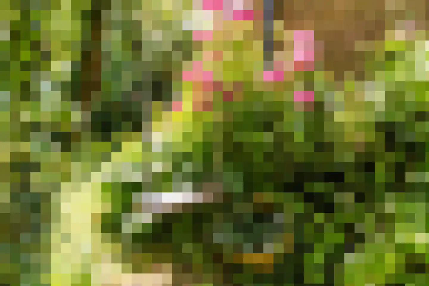 Eikenlaan 6 Zwanenburg thumbnail 38