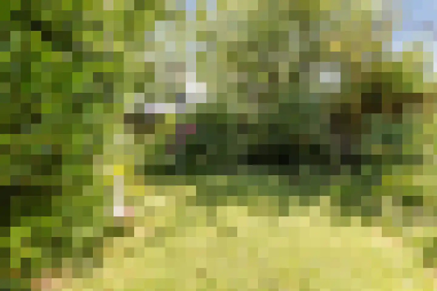 Eikenlaan 6 Zwanenburg thumbnail 39