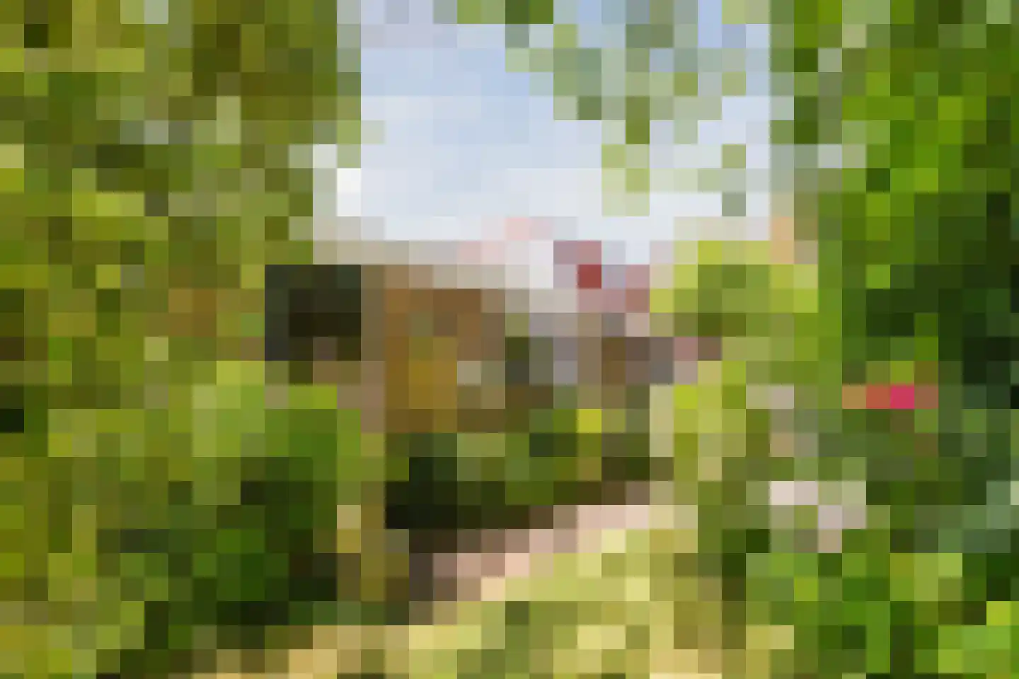Eikenlaan 6 Zwanenburg thumbnail 40