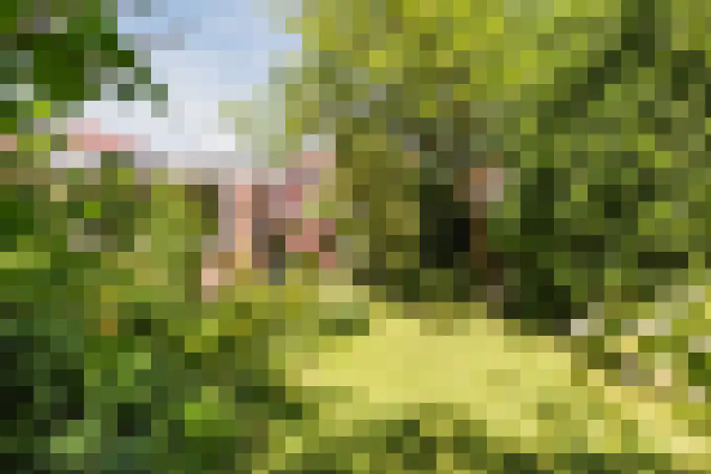 Eikenlaan 6 Zwanenburg thumbnail 41