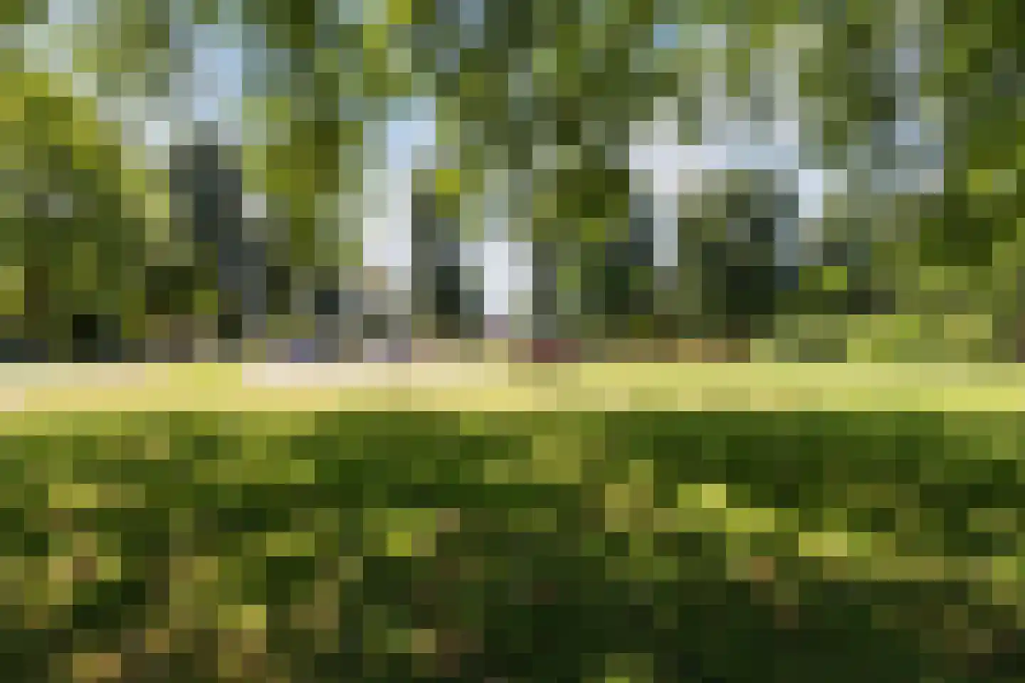 Eikenlaan 6 Zwanenburg thumbnail 42