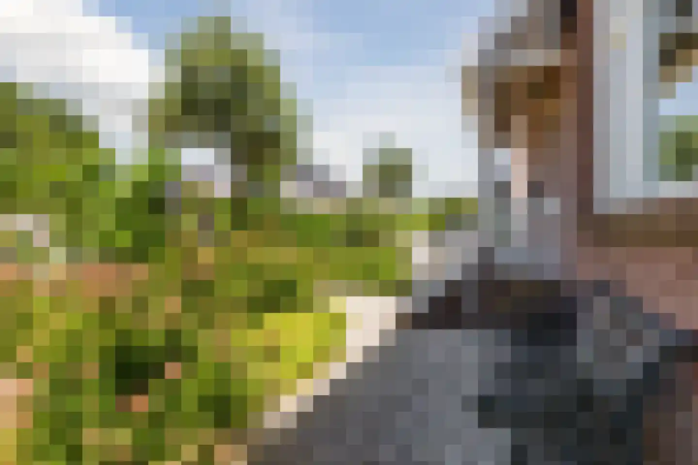 Eikenlaan 6 Zwanenburg thumbnail 7