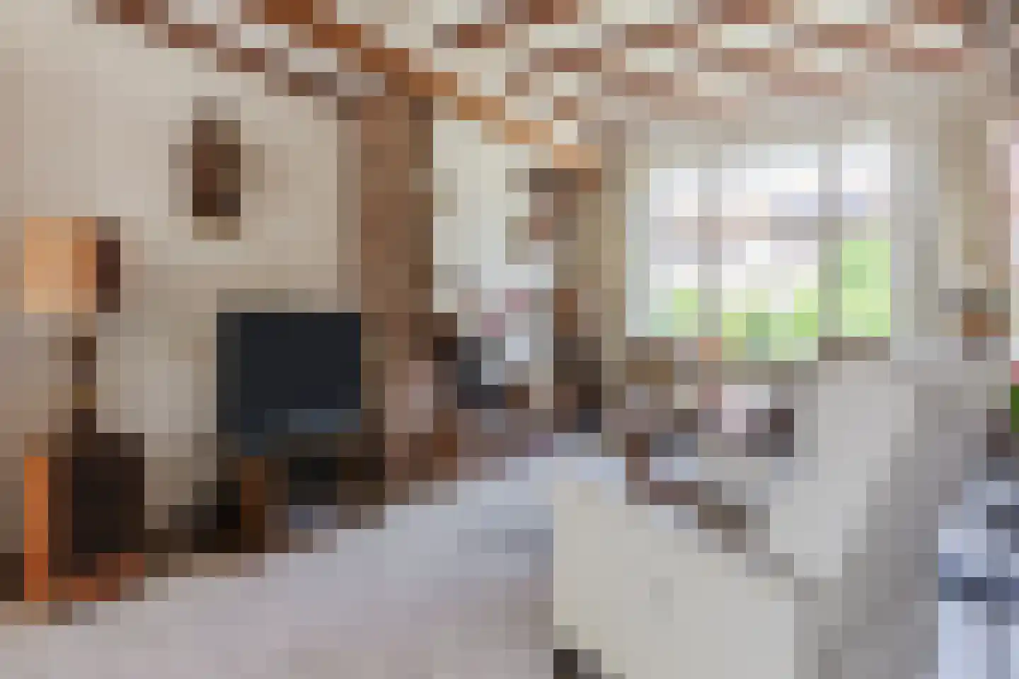 Eikenlaan 6 Zwanenburg thumbnail 9