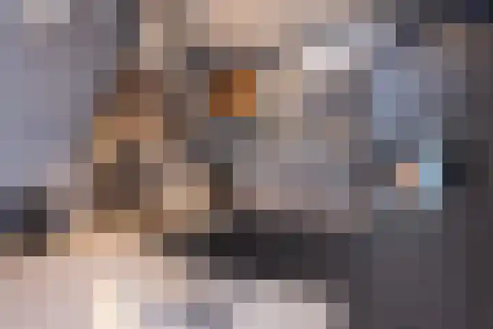 Eikenlaan 60 Borculo thumbnail 10
