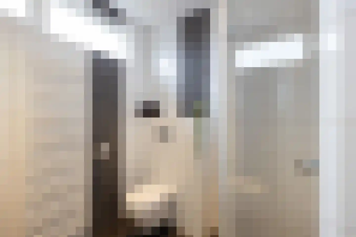 Eikenlaan 60 Borculo thumbnail 31
