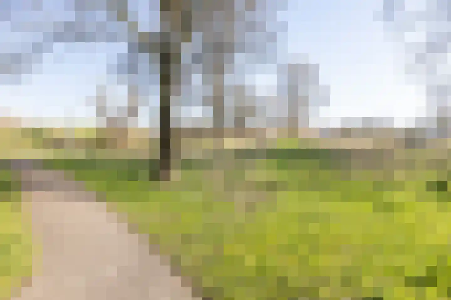 Eikenlaan 60 Borculo thumbnail 52