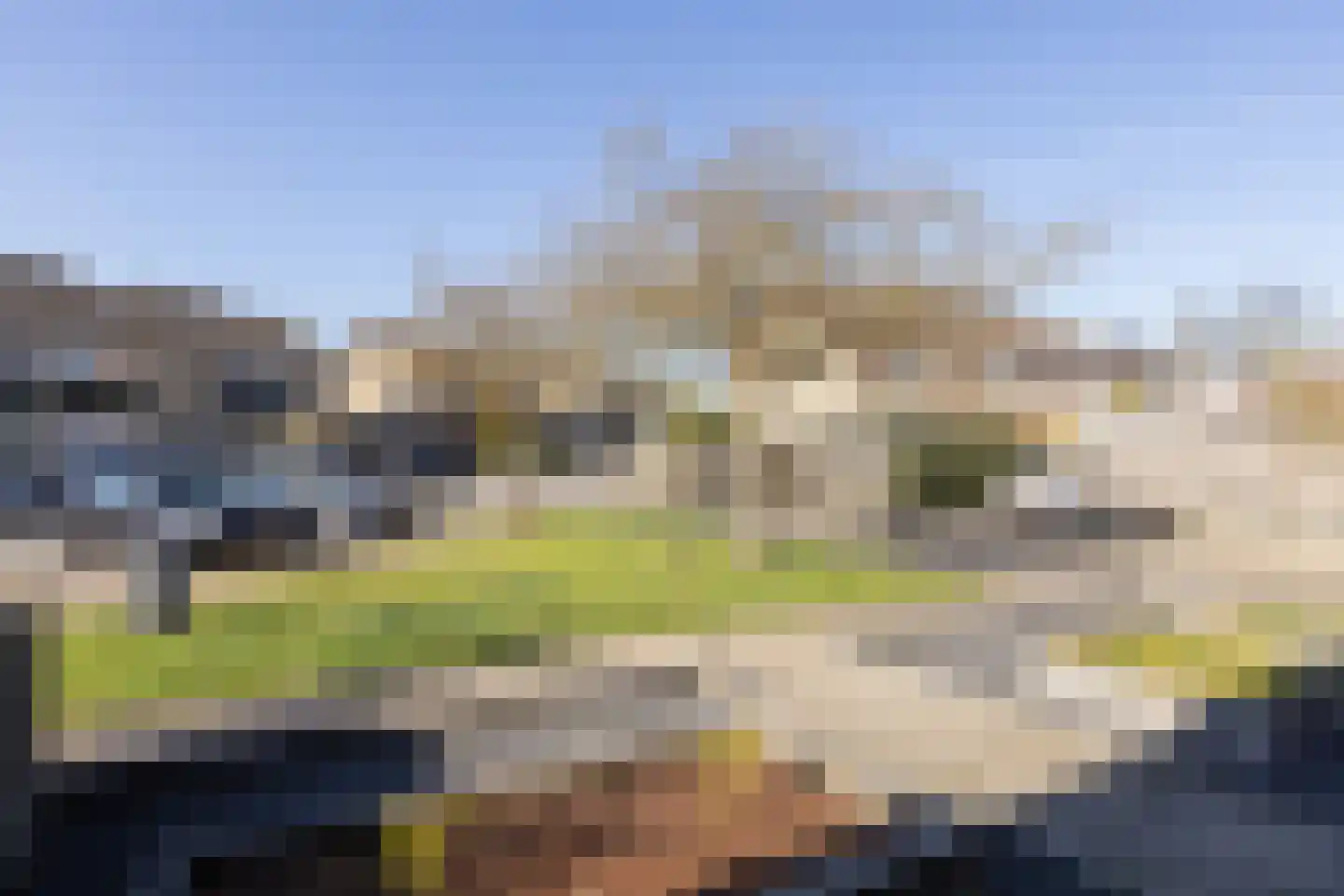 Eikenlaan 60 Borculo thumbnail 53