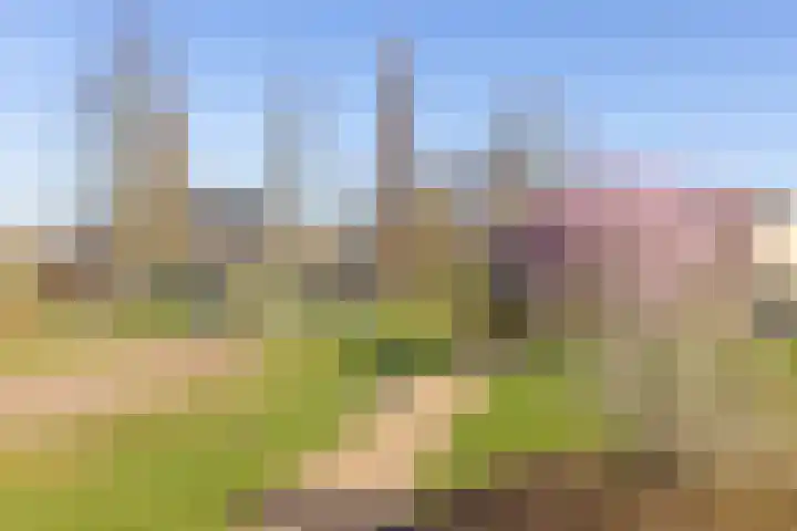 Eikenlaan 60 Borculo thumbnail 57