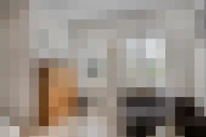 Eikenlaan 60 Oosterhout thumbnail 13