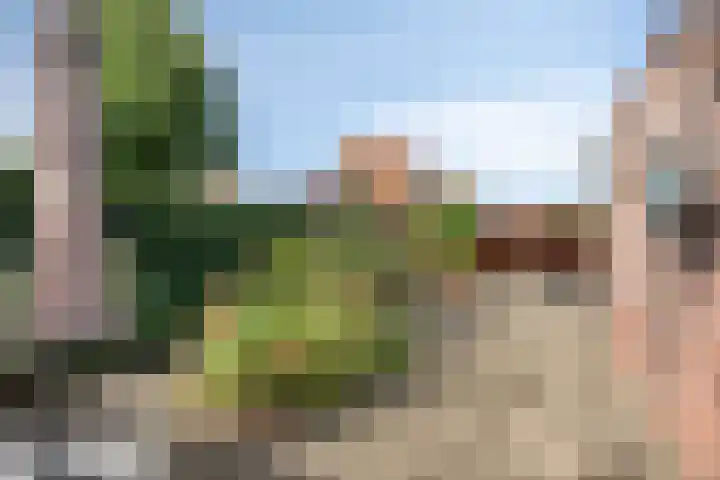 Eikenlaan 60 Oosterhout thumbnail 30