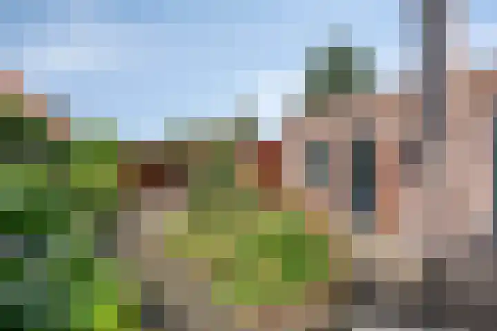 Eikenlaan 60 Oosterhout thumbnail 31