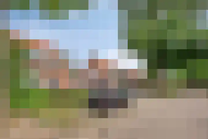 Eikenlaan 60 Oosterhout thumbnail 35