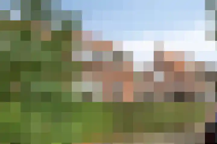Eikenlaan 60 Oosterhout thumbnail 5
