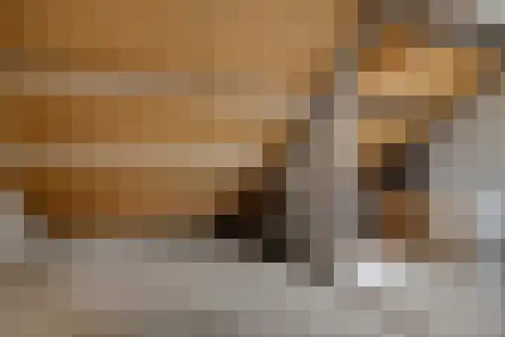Eikenlaan 62 Borculo thumbnail 23