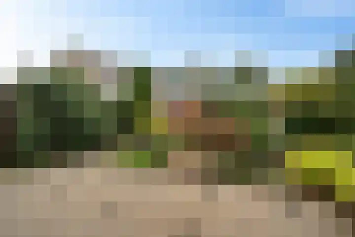 Eikenlaan 62 Borculo thumbnail 26