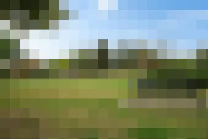 Eikenlaan 62 Borculo thumbnail 35
