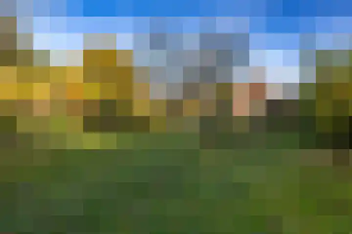 Eikenlaan 62 Kolham thumbnail 55