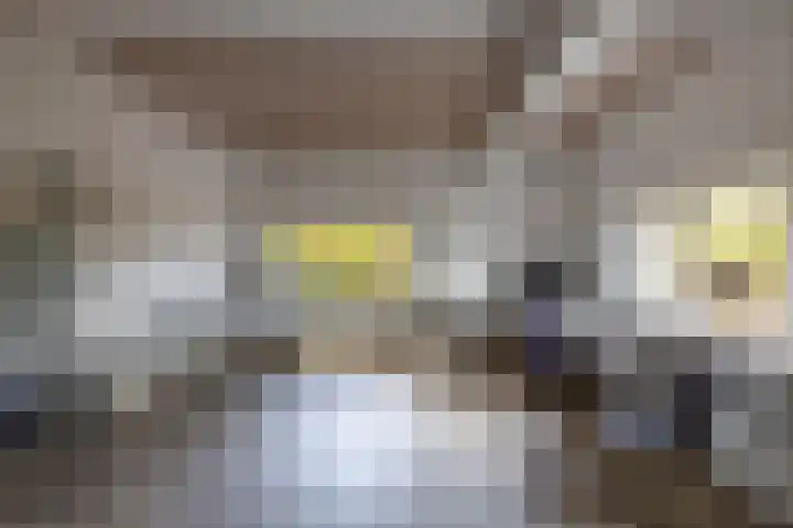 Eikenlaan 62 Kolham thumbnail 6