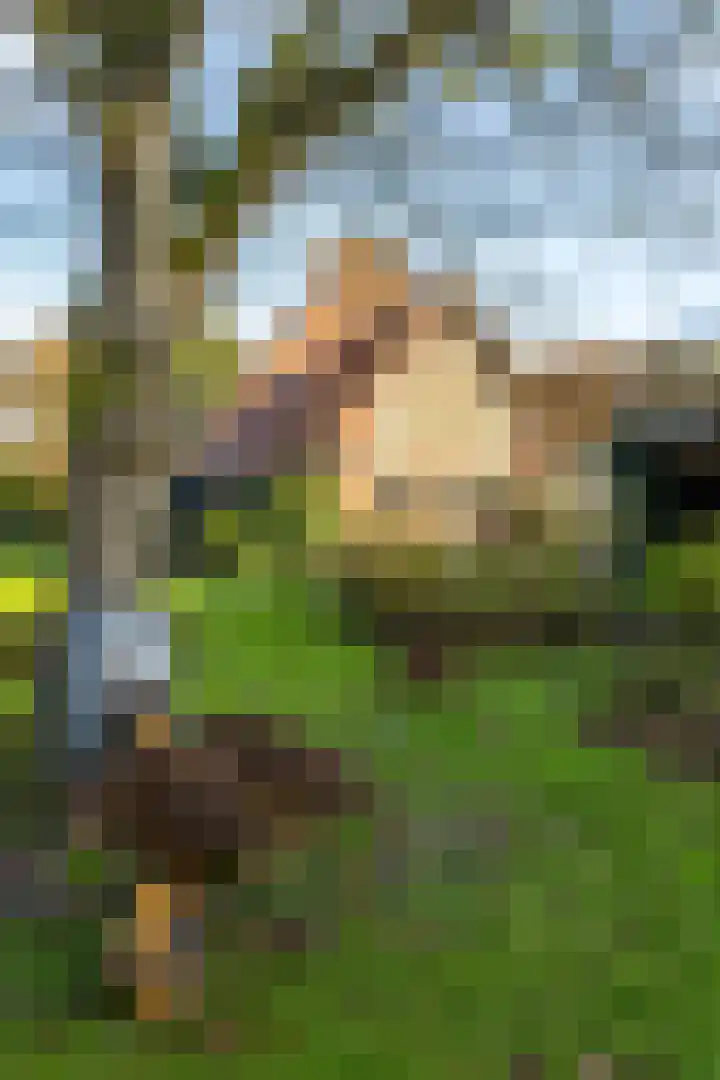 Eikenlaan 62 Kolham thumbnail 73