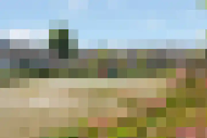 Eikenlaan 63 Soest thumbnail 25