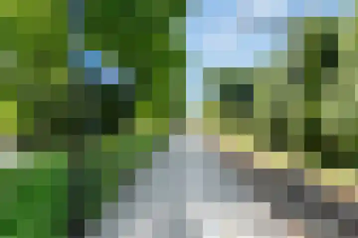 Eikenlaan 63 Soest thumbnail 27