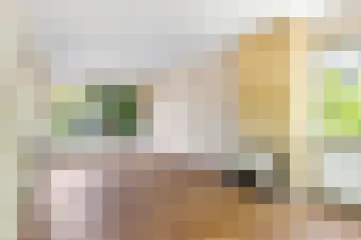 Eikenlaan 63 Soest thumbnail 5