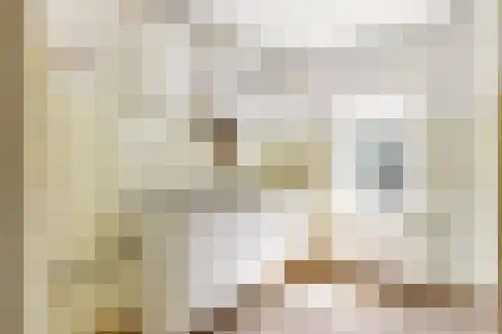 Eikenlaan 63 Soest thumbnail 8