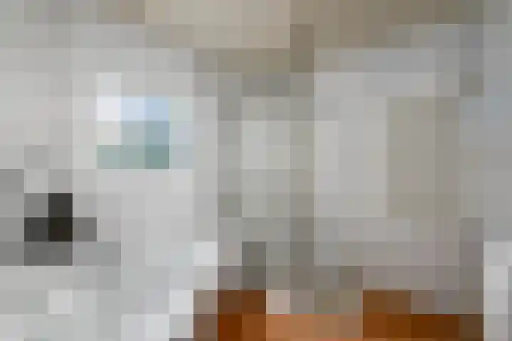 Eikenlaan 67 Wolvega thumbnail 13