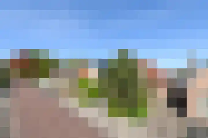 Eikenlaan 67 Wolvega thumbnail 28