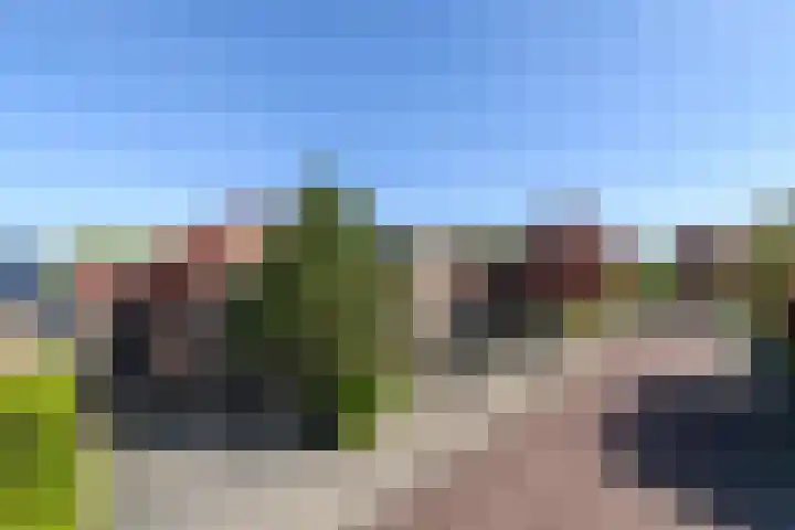 Eikenlaan 67 Wolvega thumbnail 29