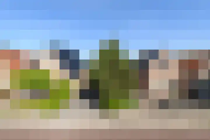Eikenlaan 67 Wolvega thumbnail 30