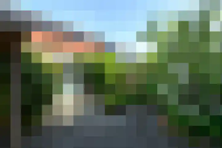 Eikenlaan 67 Wolvega thumbnail 35