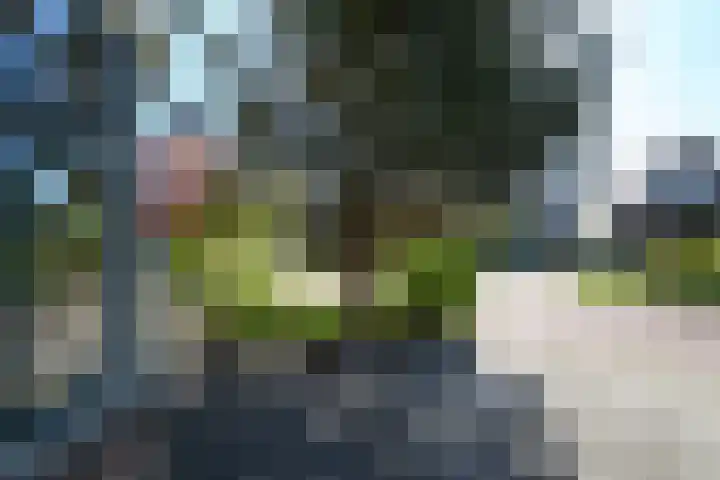 Eikenlaan 67 Wolvega thumbnail 37