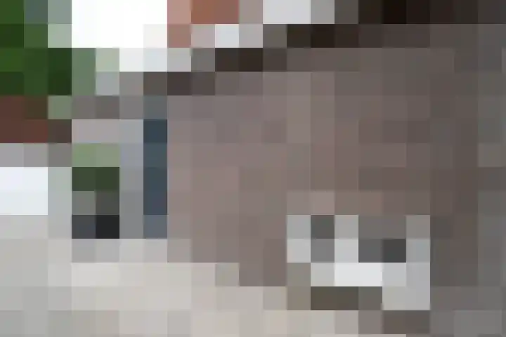Eikenlaan 68 Hasselt thumbnail 12