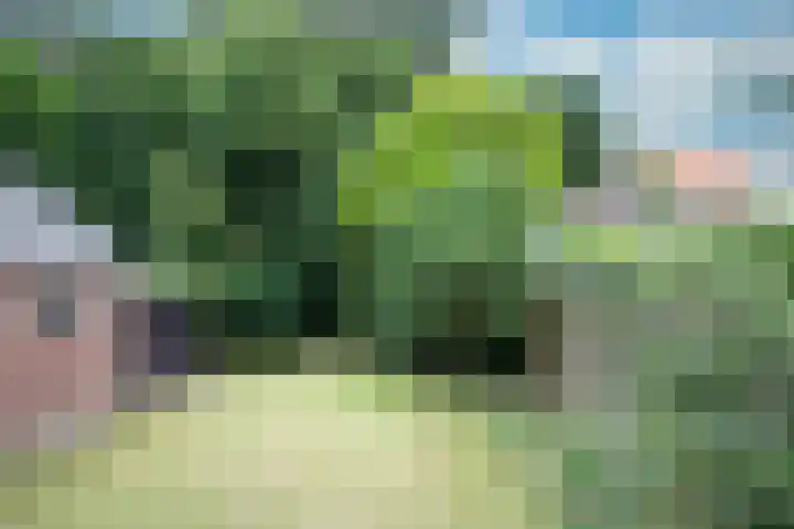 Eikenlaan 68 Hasselt thumbnail 31