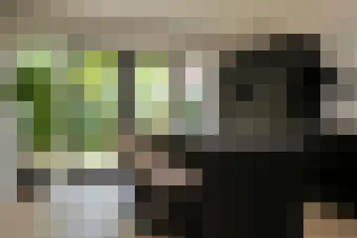 Eikenlaan 68 Hasselt thumbnail 4