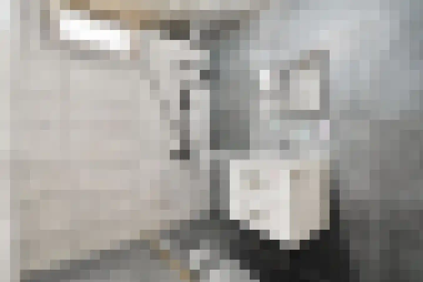 Eikenlaan 68 Spijkenisse thumbnail 26