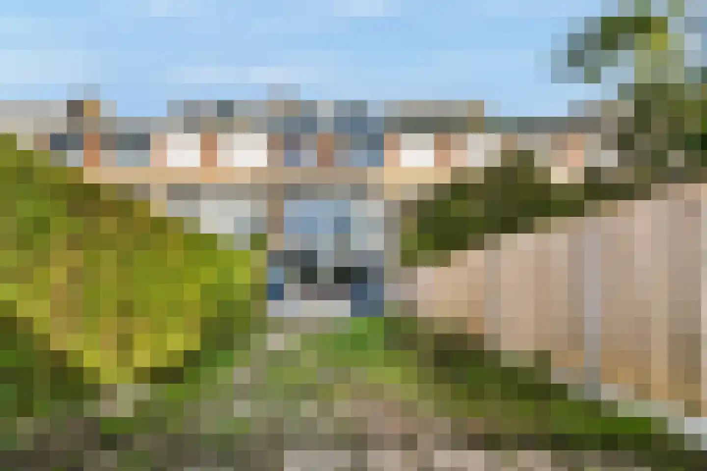 Eikenlaan 68 Spijkenisse thumbnail 36