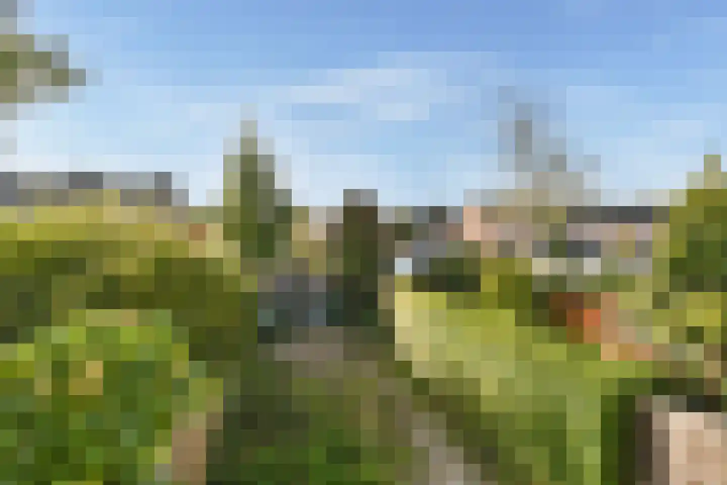 Eikenlaan 68 Spijkenisse thumbnail 37