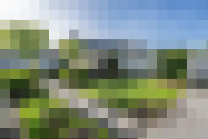 Eikenlaan 7 Dirksland thumbnail 28