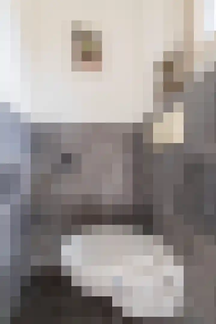 Eikenlaan 7 Renswoude thumbnail 28
