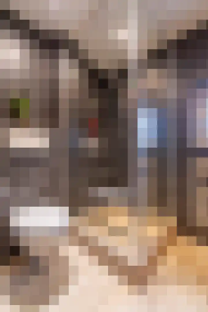 Eikenlaan 7 Renswoude thumbnail 40